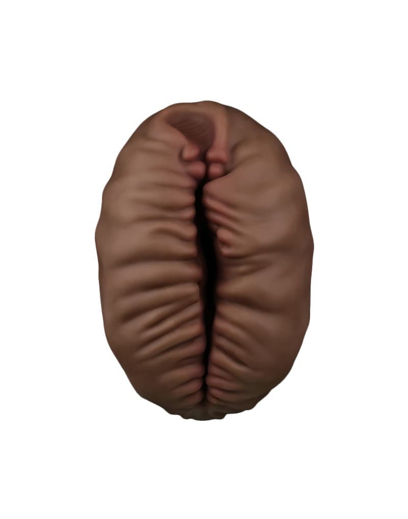 LoveToy - Alien's Pie 2 - Masturbator - Zwart 4